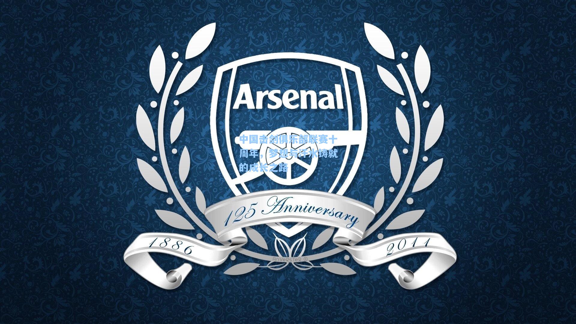 中国击剑俱乐部联赛十周年,梦想与汗水铸就的成长之路